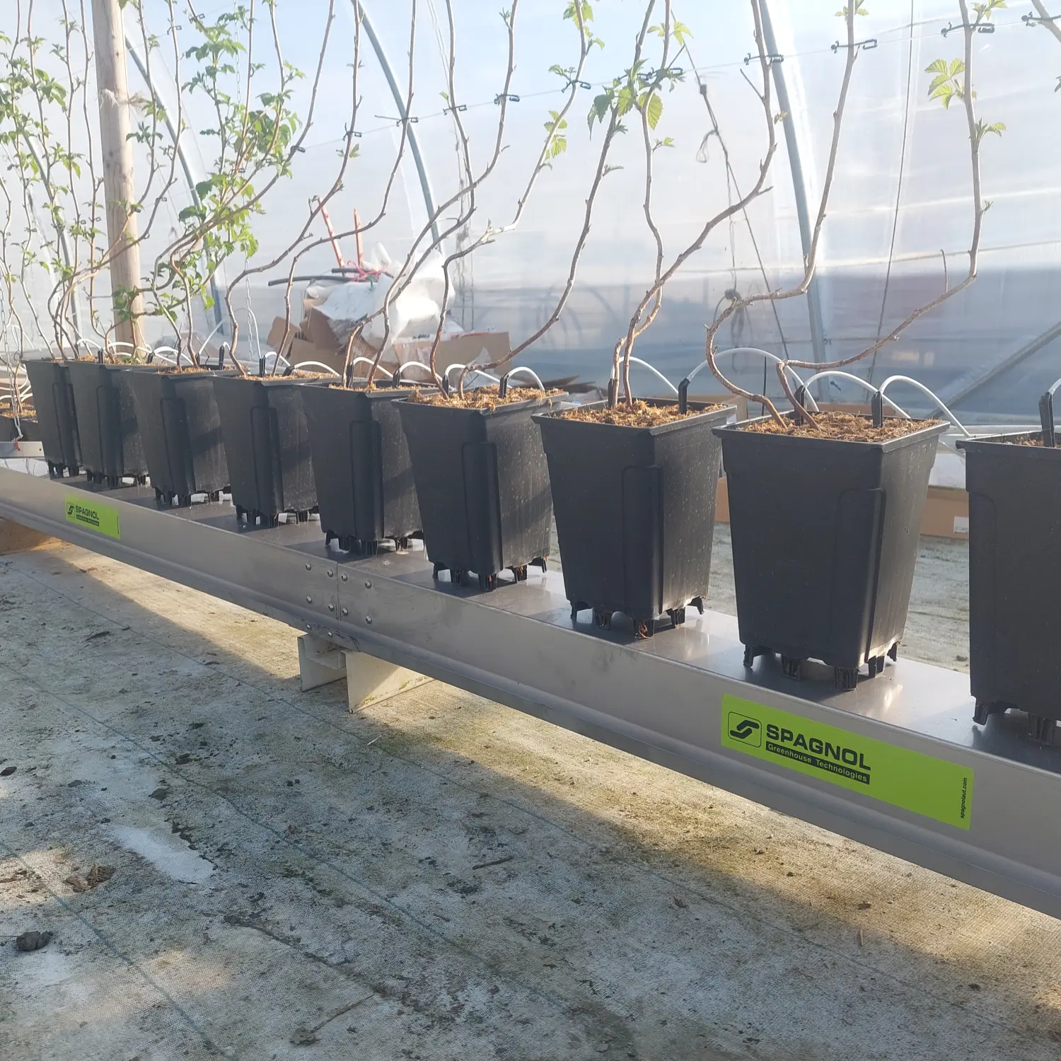 Feigel - Pumpentechnik, Bewässerungssysteme - Düngeanlagen