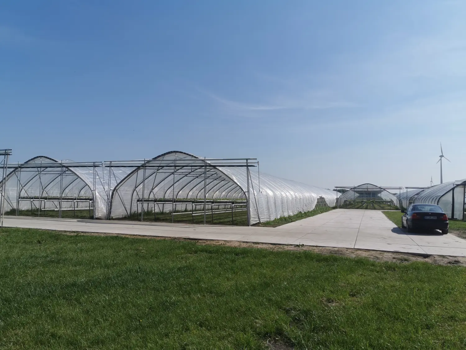 Feigel - Pumpentechnik, Bewässerungssysteme - Erdbeerfarm