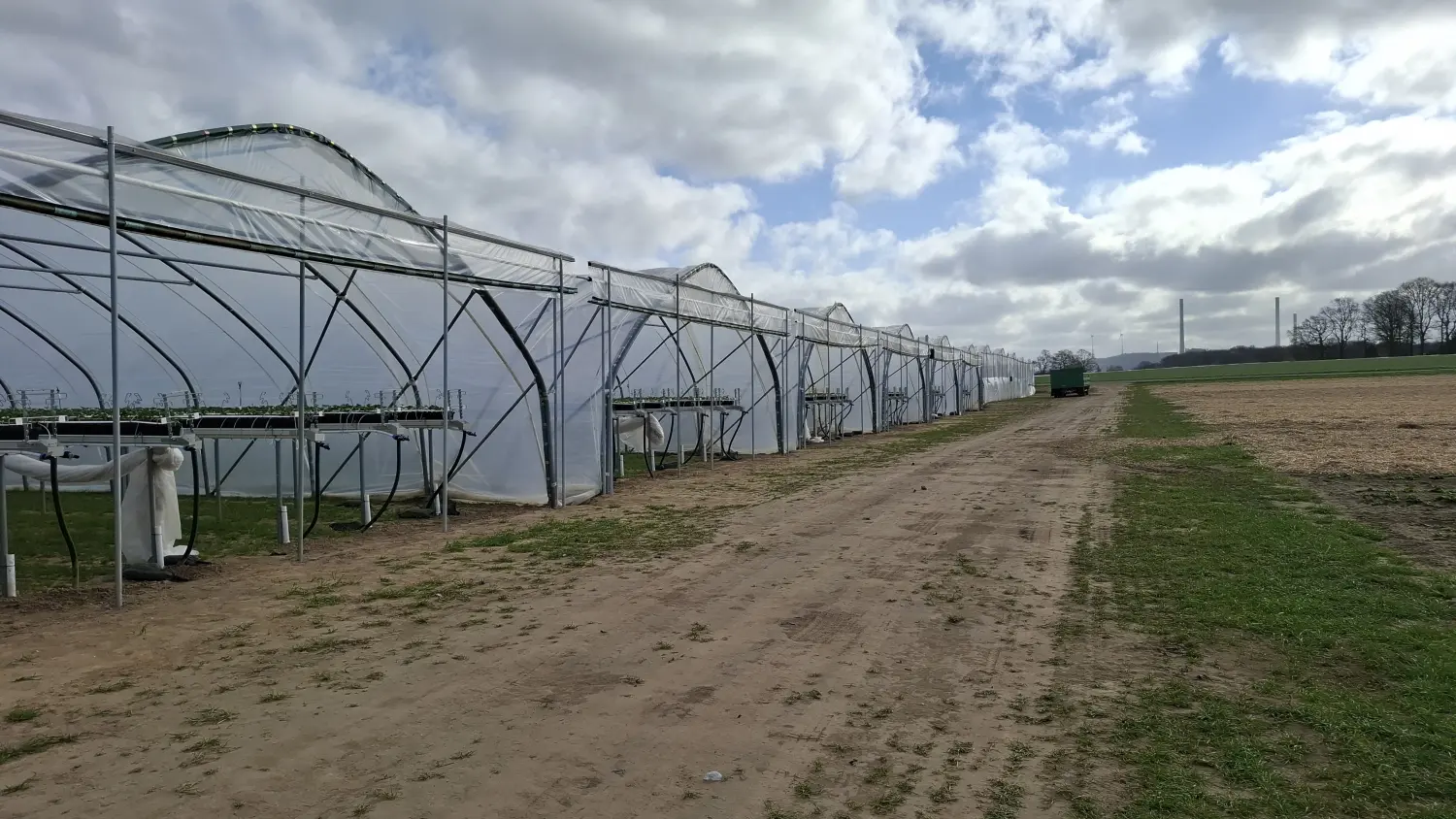 Feigel - Pumpentechnik, Bewässerungssysteme - Erdbeerfarm