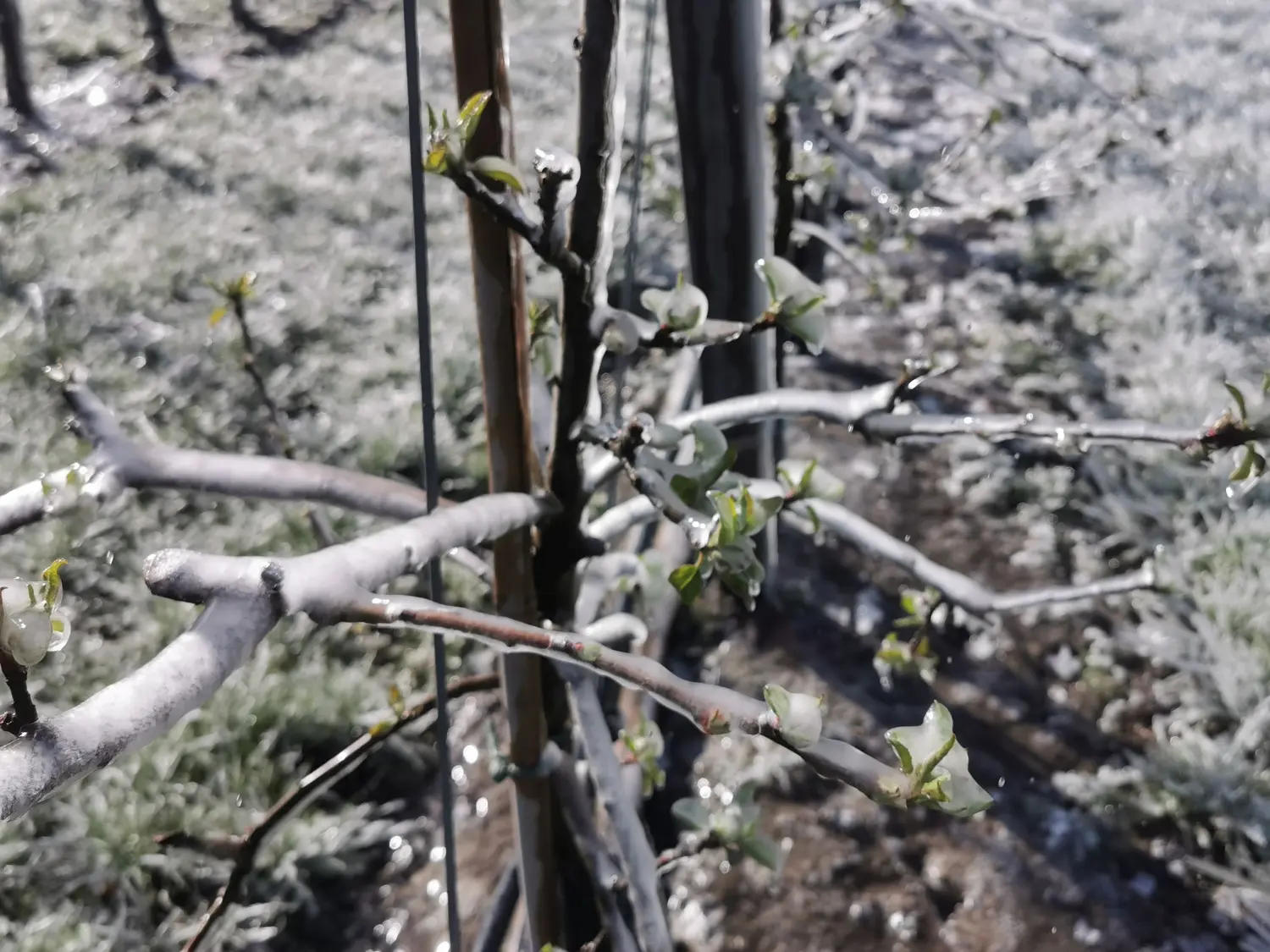 Feigel - Pumpentechnik, Bewässerungssysteme - Frostschutz