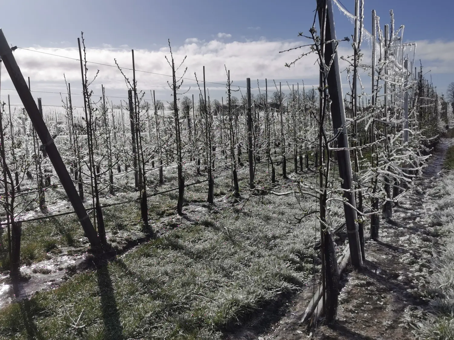 Feigel - Pumpentechnik, Bewässerungssysteme - Frostschutz