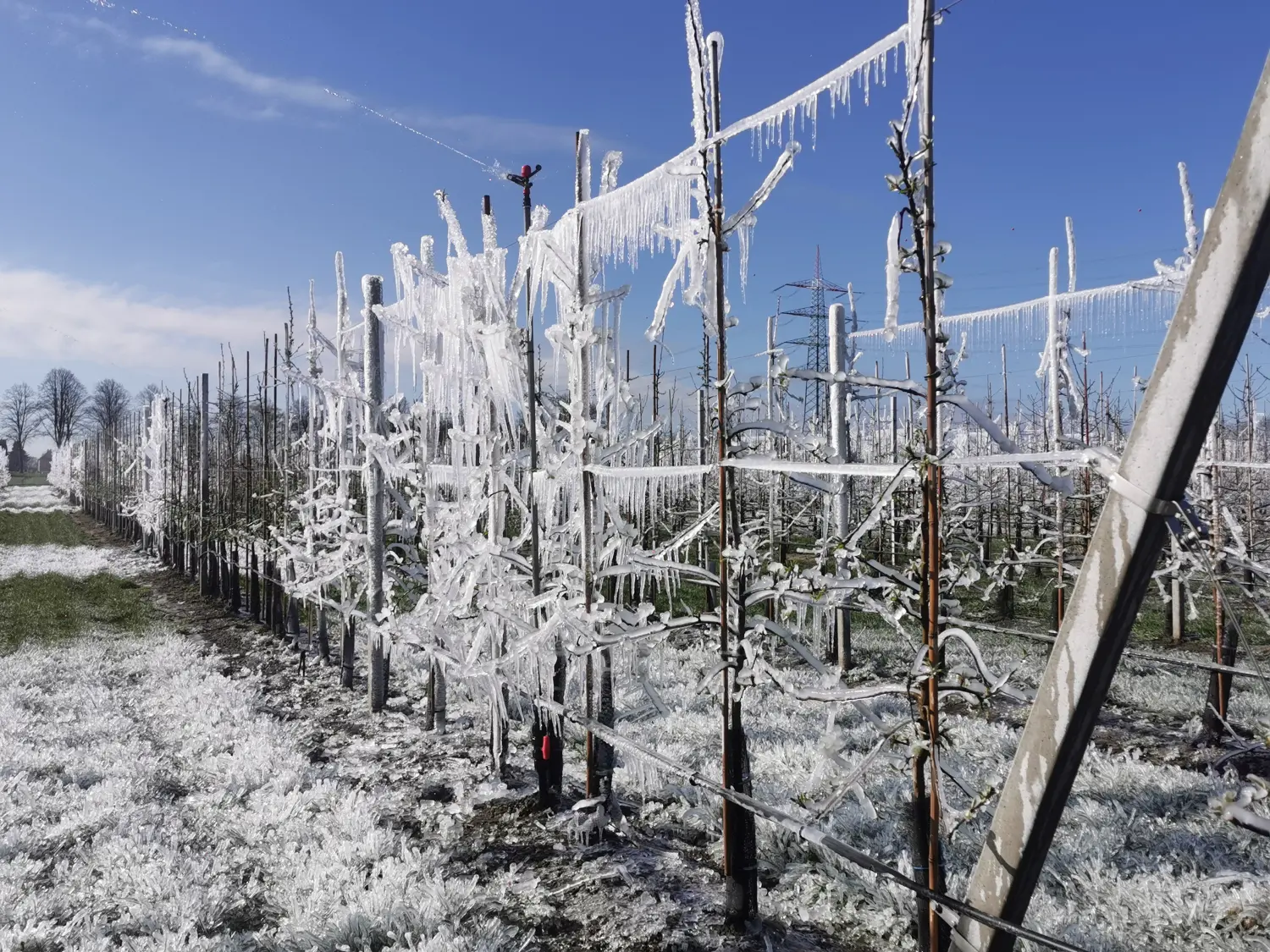 Feigel - Pumpentechnik, Bewässerungssysteme - Frostschutz