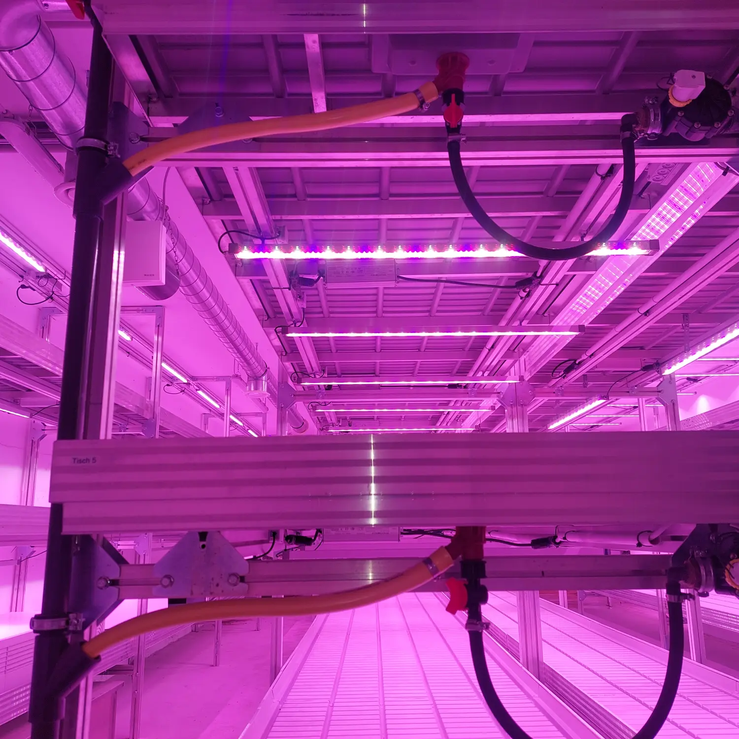 Feigel - Pumpentechnik, Bewässerungssysteme - Indoorfarming
