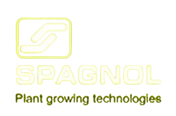 Spagnol Logo